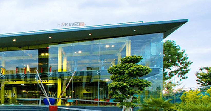 Elite Series Cover Image